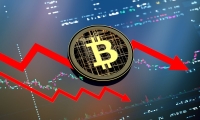 新亚制程：第二大股东湖南湘材、第四大股东维也利拟合计减持不超6%公司股份